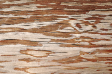 Similar image 6640773