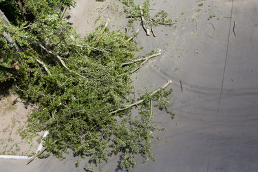 Similar image 6640893