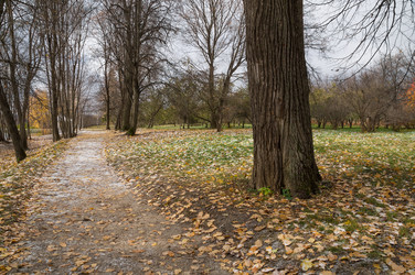 Similar image 6641049