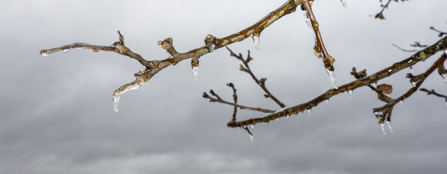 Similar image 6641052