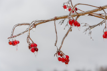 Similar image 6641053