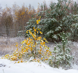 Similar image 6641054