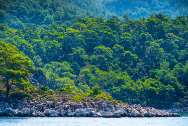 Similar image 6641133