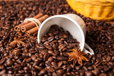 Similar image 6645179