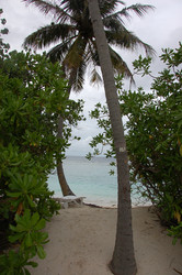 Similar image 6645311