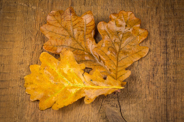 Similar image 6645430