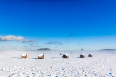 Similar image 6645460