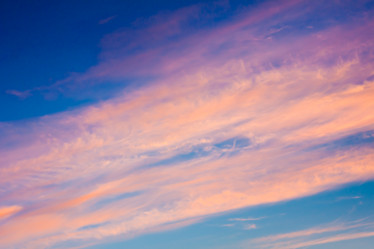 Similar image 6645479