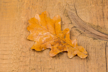 Similar image 6645486