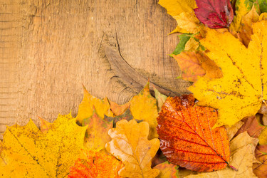 Similar image 6645490