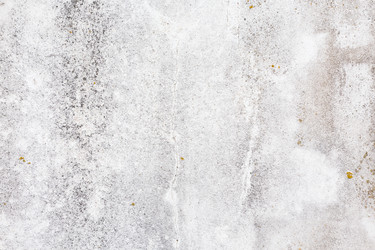 Similar image 6645494