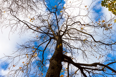 Similar image 6645526