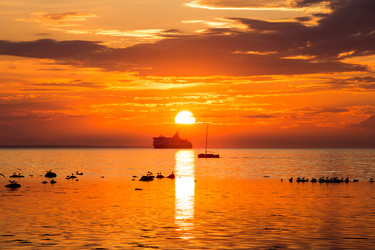 Similar image 6645535