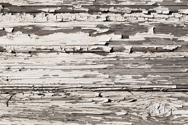 Similar image 6645546