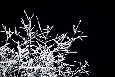 Similar image 6645602