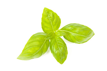 Similar image 6645603