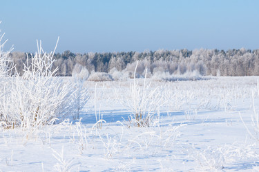 Similar image 6645607