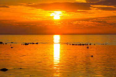 Similar image 6645623