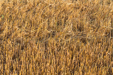 Similar image 6645627