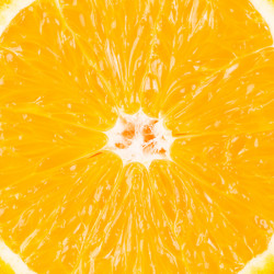 Similar image 6645635