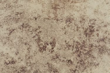 Similar image 6645645