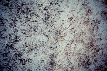 Similar image 6645646