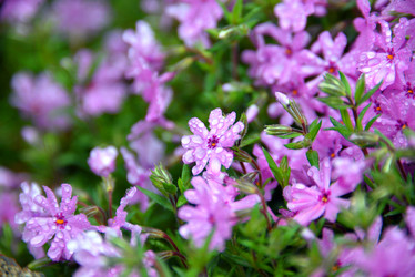 Similar image 6645710