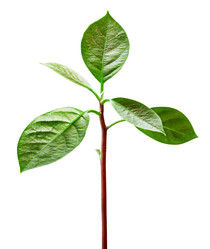 Similar image 6645716