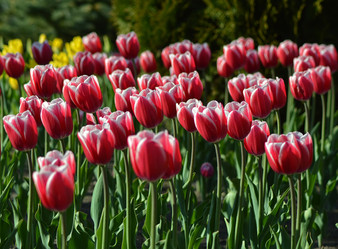 Similar image 6645847