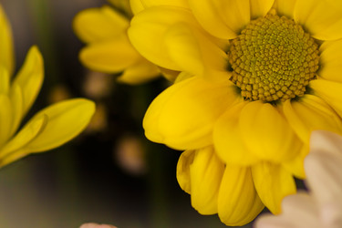 Similar image 6645961