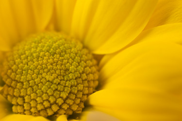 Similar image 6645962