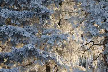 Similar image 6646028