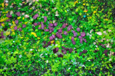 Similar image 6646069