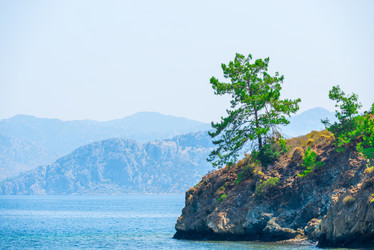 Similar image 6646083