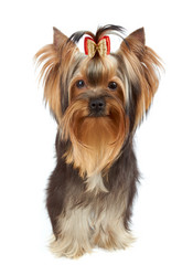 Similar image 6646091