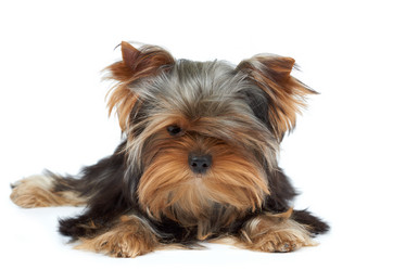 Similar image 6646092