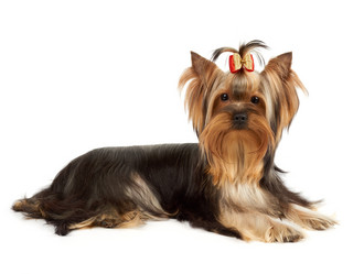 Similar image 6646093