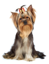 Similar image 6646095