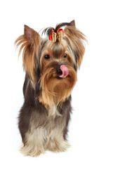 Similar image 6646096