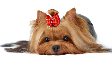 Similar image 6646113