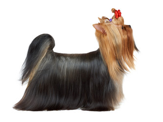 Similar image 6646114