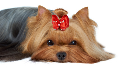 Similar image 6646116