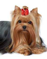 Similar image 6646117