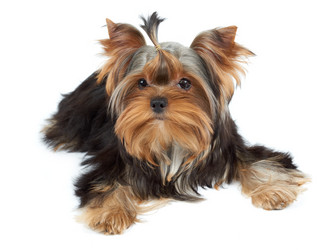 Similar image 6646120