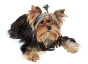 Similar image 6646121