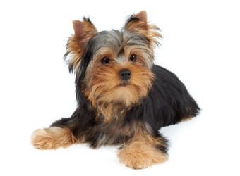 Similar image 6646123