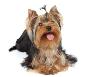 Similar image 6646125