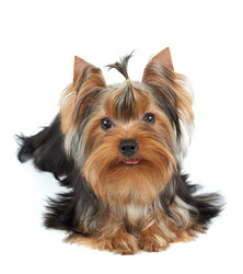 Similar image 6646126