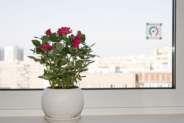 Similar image 6646272