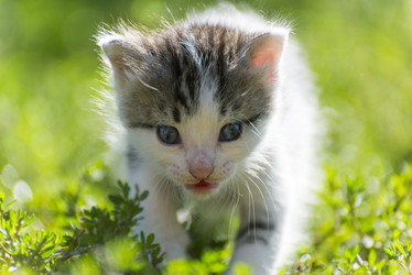 Similar image 6646351